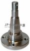 JP GROUP 1251400100 Stub Axle, wheel suspension